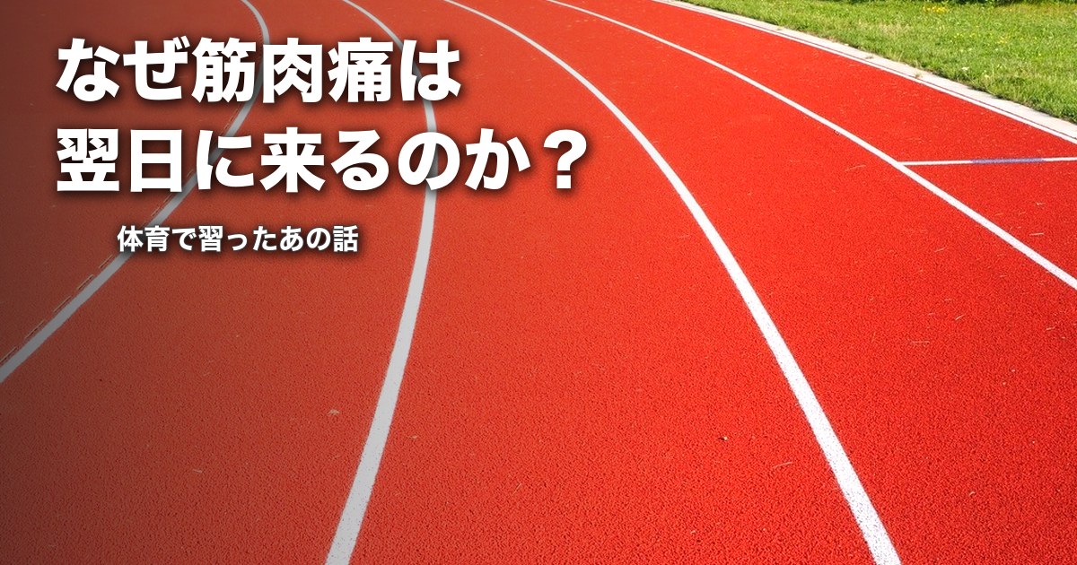 なぜ筋肉痛は翌日に来るのか？