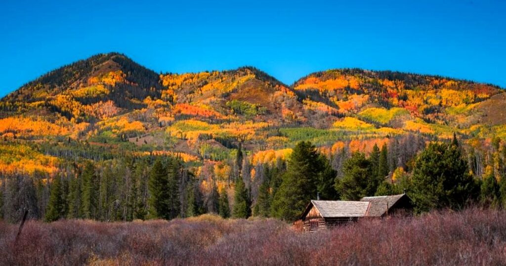 紅葉した木々と奥に連なる山の風景