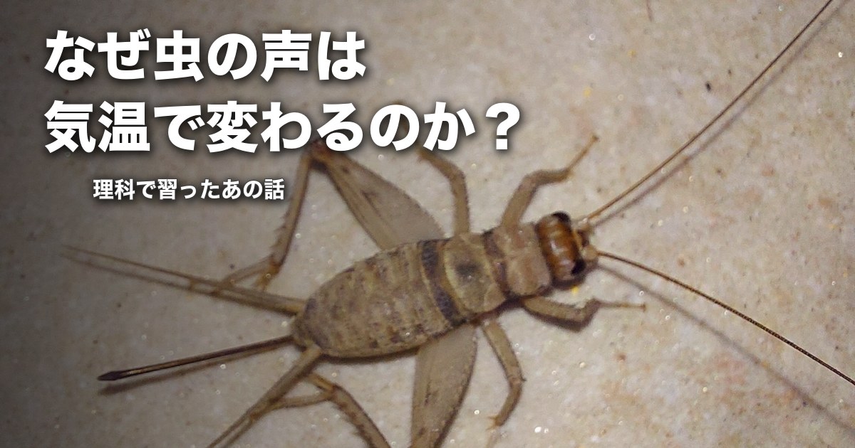 なぜ虫の声は気温で変わるのか？